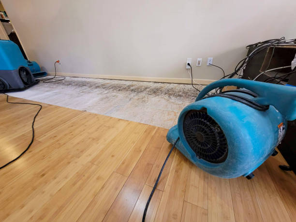 Professional Flood Damage Cleanup technician working in Round Lake, IL